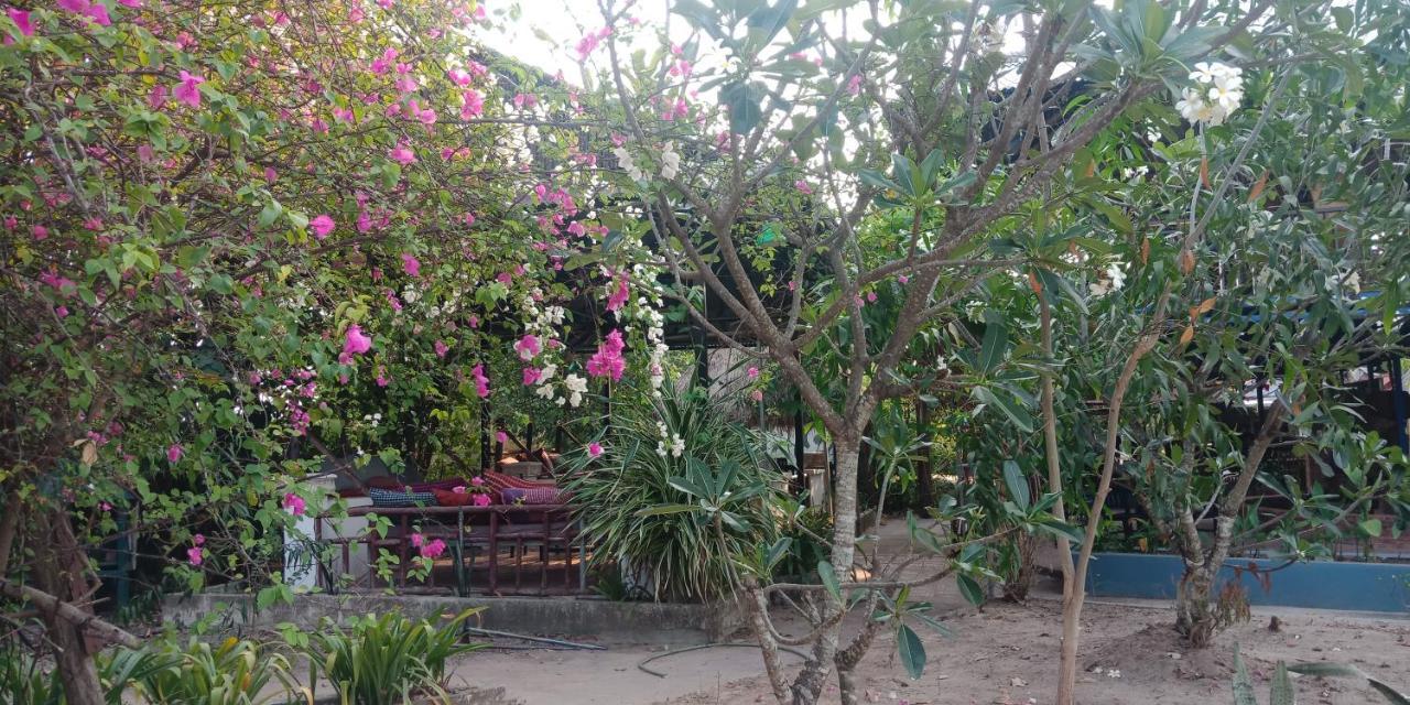 Banyan Tree Hostel Kampot Ngoại thất bức ảnh